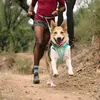 Ruffwear Hi & Light™ Hundegeschirr Produktbild-Vorschau 13