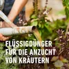 COMPO  Kräuterdünger 500 ml Produktbild-Vorschau 4