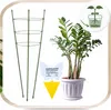 Pflanzenstütze 60 cm - Grün - Stabil und ästhetisch - Inkl. Produktbild-Vorschau 2