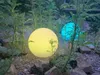 Reality Leuchten Solar- Außenleuchte MELO Produktbild-Vorschau 12