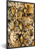 MuchoWow® Gerahmtes Poster Tierhaut - Schlange - Gold 20x30 Produktbild-Vorschau 1