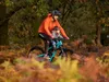 Kids Ride Shotgun MTB Front Kindersitz Produktbild-Vorschau