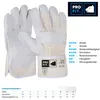 PRO FIT Rindspaltleder Arbeitshandschuh FRIESE, Größe 10 Produktbild-Vorschau 2