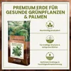 Green Home Grünpflanzen- & Palmenerde 72 L – für Palmen, Produktbild-Vorschau 2