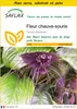 SAFLAX Ensemble de culture - Fleur chauve-souris - 10 Voir les images du produit 1
