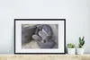 MuchoWow® Gerahmtes Poster Otter mit Jungtier 60x40 cm - Produktbild-Vorschau 4
