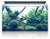 Lampada LED colorata per acquari, impermeabile, con Anteprima dell’immagine prodotto 7