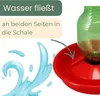 Tränkeschale für Kunststoffflaschen Trinkschale für PET Produktbild-Vorschau 6