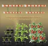 Two LED grow lights are shown suspended above potted plants in various stages of growth, from seedlings to fruiting tomato plants. Náhľad obrázku produktu