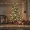 vidaXL LED světelný řetěz se 150 LED diodami v teplé bílé Náhled obrázku produktu 2