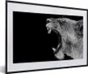 MuchoWow® Gerahmtes Poster Tiere - Löwe - Schwarz - Weiß - Produktbild-Vorschau 1