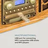 auna NR-620, DAB, stereo systém, drevo, gramofón, DAB+, Náhľad obrázku produktu 8