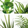 Bloomique - 5er-Mix - Pflegeleichte Pflanzenmischung - Produktbild-Vorschau 3