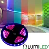 LUMILED LED pásek 5M s dálkovým ovládáním, 300 LED diod 12V Náhled obrázku produktu 2