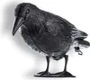 A black plastic raven decoy on a white background. Podgląd zdjęcia produktu