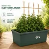 5X Elho Green Basics Beweglicher Garten - Gemüsegarten - Produktbild-Vorschau 6