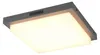 LED, lampa sufitowa, metal, antracyt, czujnik, szer. 30 cm Podgląd zdjęcia produktu 1