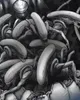 style3 Higher Species Kinder T-Shirt xenomorph alien ripley Produktbild-Vorschau 2