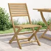 vidaXL Gartenstühle 2 Stk. Klappbar 48,5x61,5x87 cm Produktbild-Vorschau 2