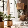 A cozy indoor scene with plants, a lamp, and a book near a window. Náhľad obrázku produktu