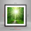 Gerahmtes Poster - Schwarzer Rahmen - Sonnenstrahlen Wald Produktbild-Vorschau 5
