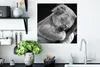 MuchoWow® Poster Koala - Schlafend - Schwarz - Kinder - Produktbild-Vorschau 3