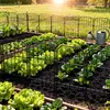 LZQ Teichzaun Gartenzaun Komplettset Metall 25 Produktbild-Vorschau 10