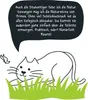 Katzenstreu PRIMOX aus Pflanzenfasern klumpend, ohne Duft 8 Produktbild-Vorschau 5