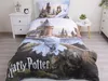 Posteľná bielizeň Harry Potter Hedwig 02 140x200, 70x90 cm Náhľad obrázku produktu 2