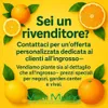 Pianta di Mandarino Satsuma Miyagawa (vaso - 20) Anteprima dell’immagine prodotto 8