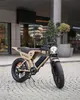 APE RYDER Genon Ultra E-Bike 20 Zoll Fatbike, 250W Motor, Produktbild-Vorschau 8