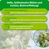 Purgrün Sommerflieder-Dünger 1 kg, Produktbild-Vorschau 3