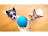 Giocattolo interattivo per cani Cheerble Wickedbone Anteprima dell’immagine prodotto 18
