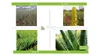 Aloe Vera Gel Spray | Organisch & Vegan | KOSMETIKANALYSE: Produktbild-Vorschau 7