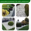 Best for Garden Kieselsteine 16-32 mm umweltfreundlich Kies Produktbild-Vorschau 7