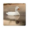 MuchoWow® Mauspad Mousepad Ente - Vogel - Wasser - Weiß Produktbild-Vorschau 1