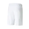 Puma Pantaloni 70492404, Taglia: 188 Anteprima dell’immagine prodotto 2