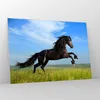 Bilder auf glas - Schwarzes Pferd Pferd Galopp - 100x70cm - Produktbild-Vorschau 4
