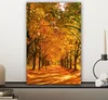 MuchoWow® - Leinwandbilder - Wald - Herbst - Jahreszeiten - Produktbild-Vorschau 7