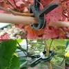 Pinces de fixation pour plantes, pinces de jardinage, 50 Voir les images du produit 12