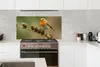 KitchenYeah®  Spritzschutz Küche - Küchenrückwand - Produktbild-Vorschau 2