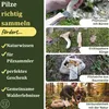 Eli®Pilzmesser mit Bürste und Tasche aus Baumwolle für Produktbild-Vorschau 5