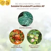 Solabiol Grundstoff Lecithin Spray 1 l Produktbild-Vorschau 14