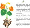 Kapuzinerkresse Samen (Tropaeolum majus) - Farbenprächtige, Produktbild-Vorschau 7