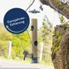 25 kg Lyra Pet® Erdnusskerne weiß gehackt Neue Ernte Produktbild-Vorschau 3