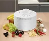 A white food dehydrator is placed on a wooden table, surrounded by various fruits and vegetables. Anteprima dell’immagine prodotto