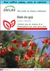 SAFLAX Ensemble-cadeau - Baie de goji - 200 graines - Voir les images du produit 1