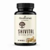 SHIVITAL – Extrait de shiitake et soutien quotidien pour le Voir les images du produit 1