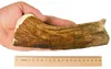 1 szt. XXL Hard łoś / 190-280 g Gryzak gryzaki z poroża Podgląd zdjęcia produktu 2