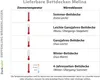 Bettdecke 135x200 4-Jahreszeiten Schurwolle Baumwolle 4 Produktbild-Vorschau 2